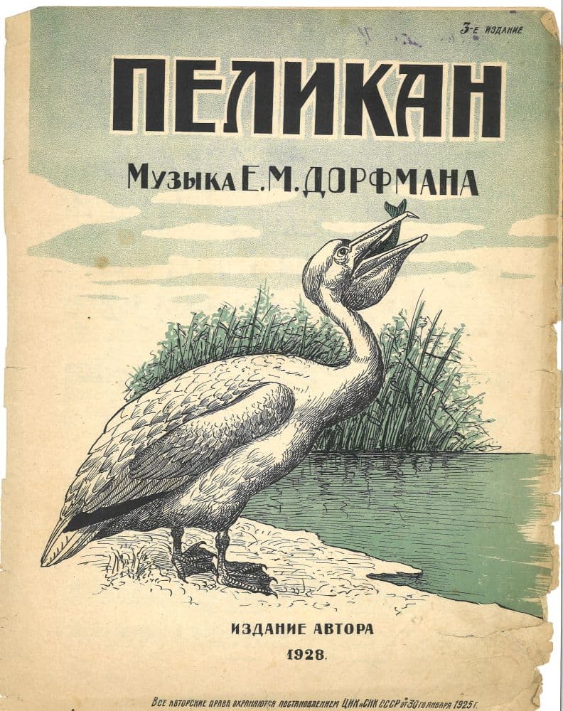 Пеликан (3)